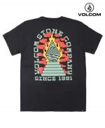 Remera Volcom Altar Stone Junior