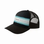 Cap Quiksilver Pidgeon Chicken - Imagen 2