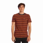 Remera Volcom Moorly Modern