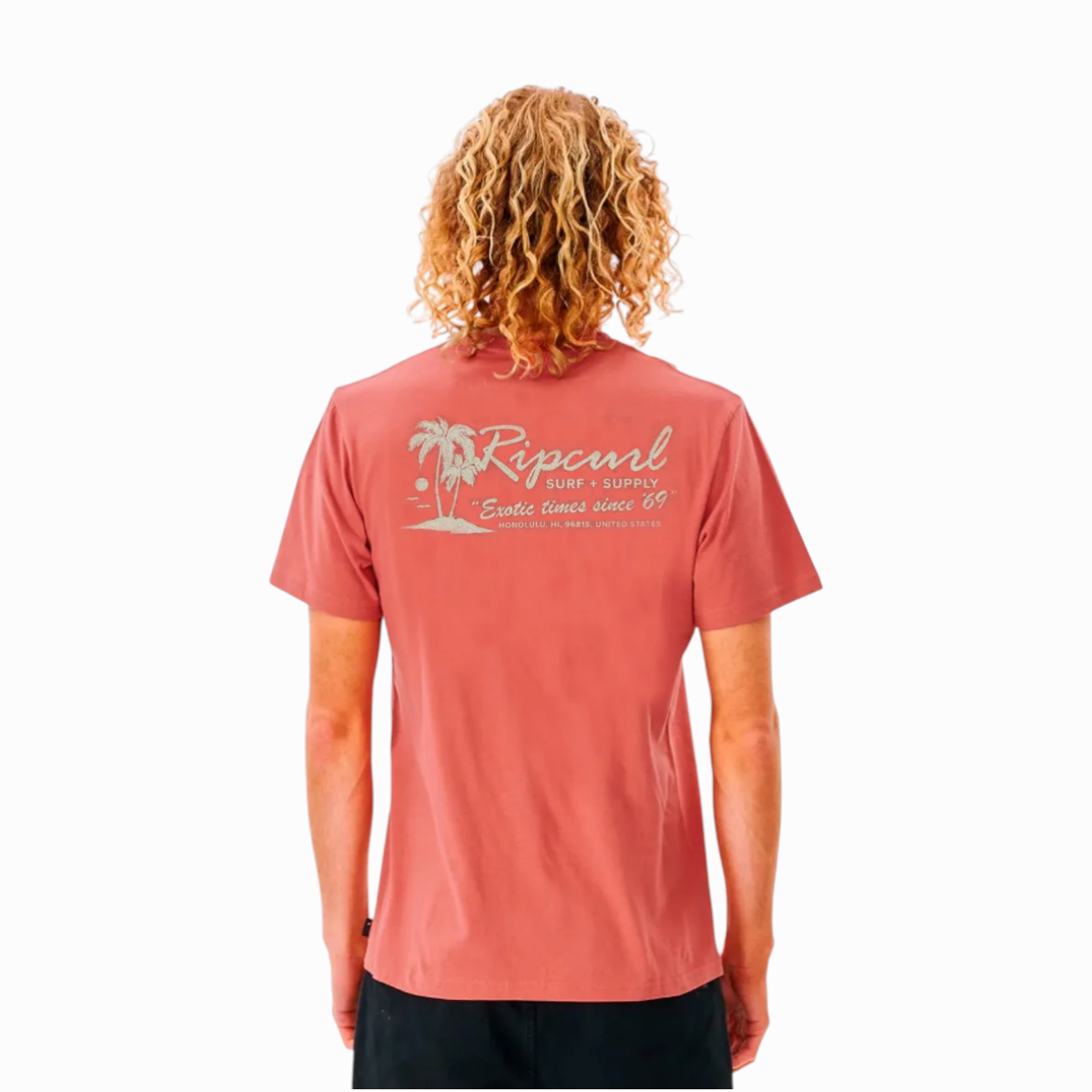 BBS2300966 Remera Rip Curl Mood Tropics RLX - Imagen 1