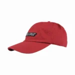 Gorra Santa Cruz Creep Strip - Imagen 2