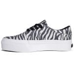 Zapatillas Dc New Trase Platform Tx Se - Image 2