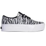 Zapatillas Dc New Trase Platform Tx Se