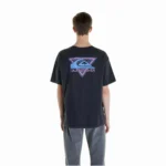 Remera Quiksilver Take Us Back Logo