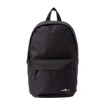 Mochila Quiksilver The Poster 26L