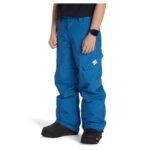 Pantalón Snow DC Banshee Junior - Imagen 2