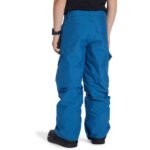 Pantalón Snow DC Banshee Junior - Imagen 3