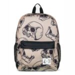 Mochila DC Backsider Seasonal 4