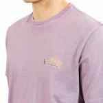 Remera Billabong Throwback Wash - Imagen 4