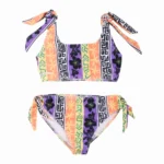 Bikini Volcom Top Brind It