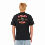 Remera Rip Curl RLX Destination